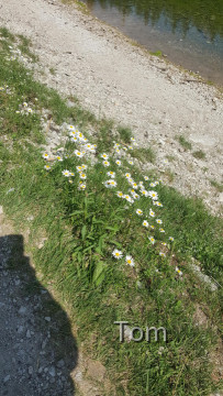 Tragöß - St. Katharein - Grüner See