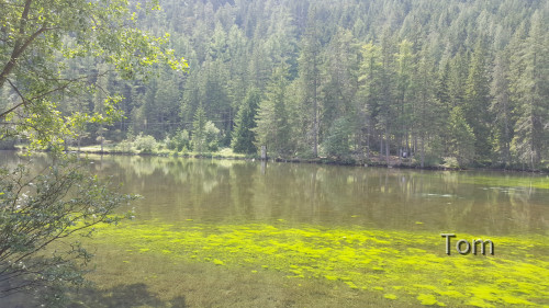 Tragöß - St. Katharein - Grüner See
