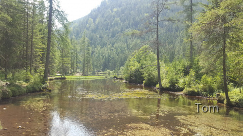 Tragöß - St. Katharein - Grüner See