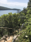 Limfjord