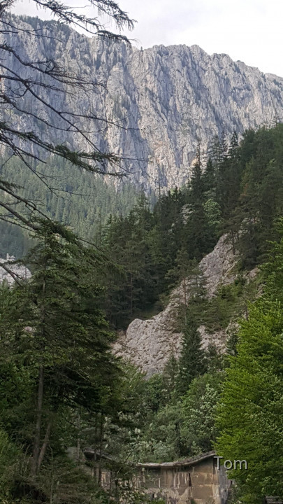 Fölzklamm
