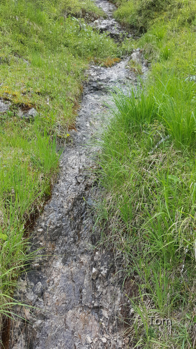 Fölzklamm