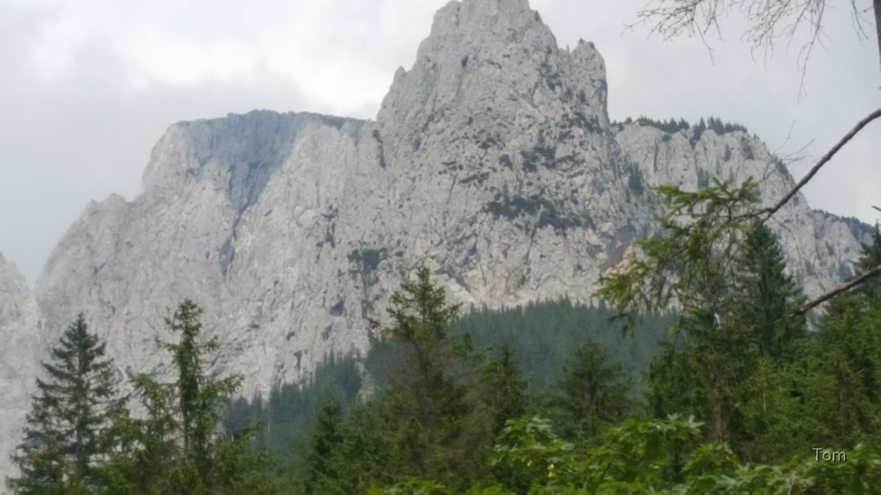 Fölzklamm