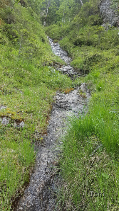 Fölzklamm