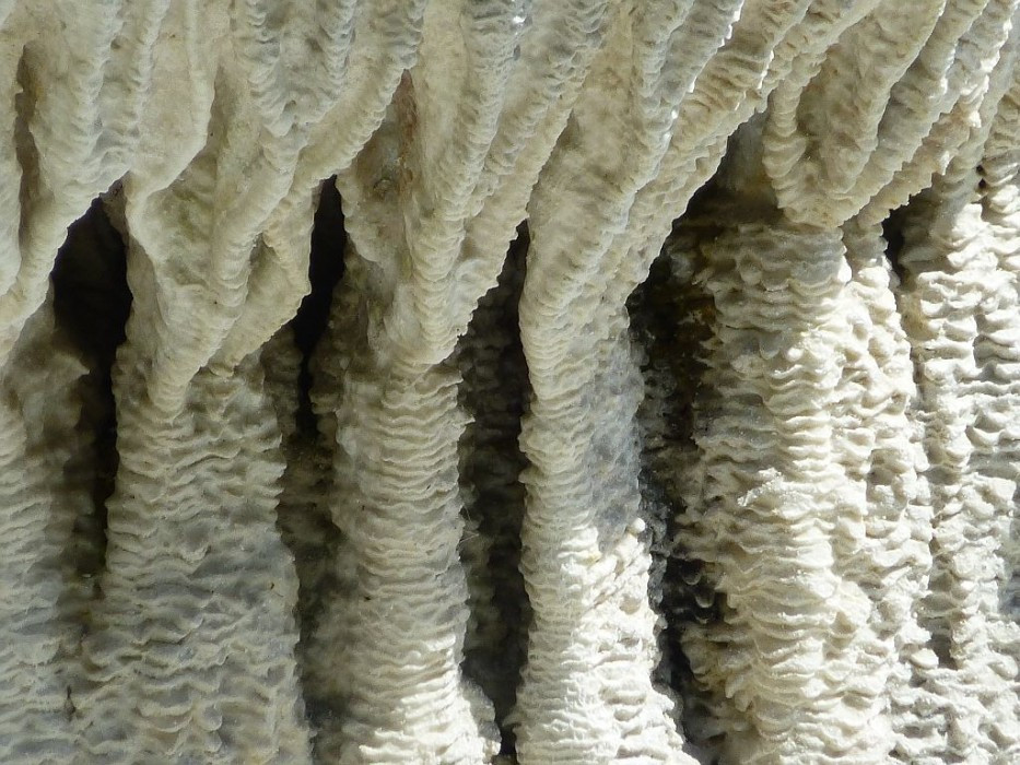Egerszalók, Thermal- und Erlebnisbad, Salzberg, Detail