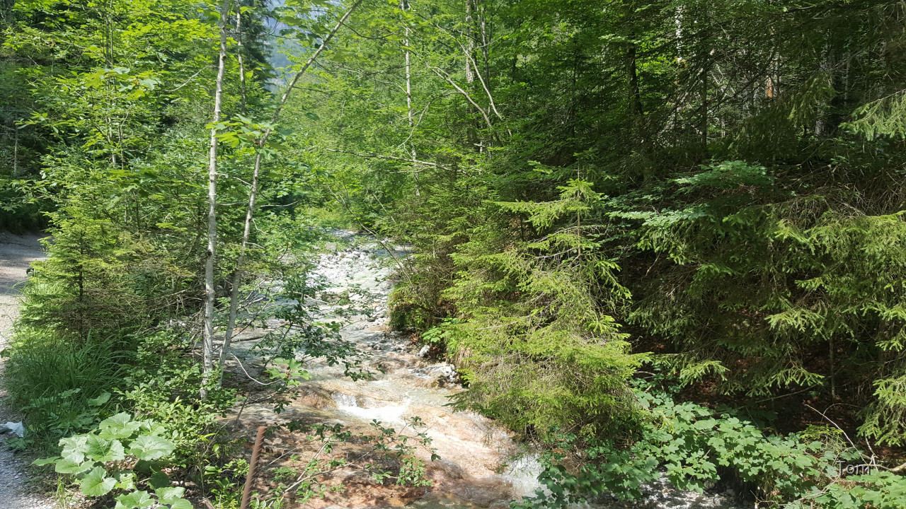 Fölzklamm