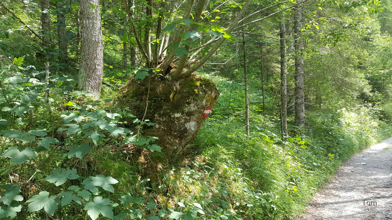 Fölzklamm