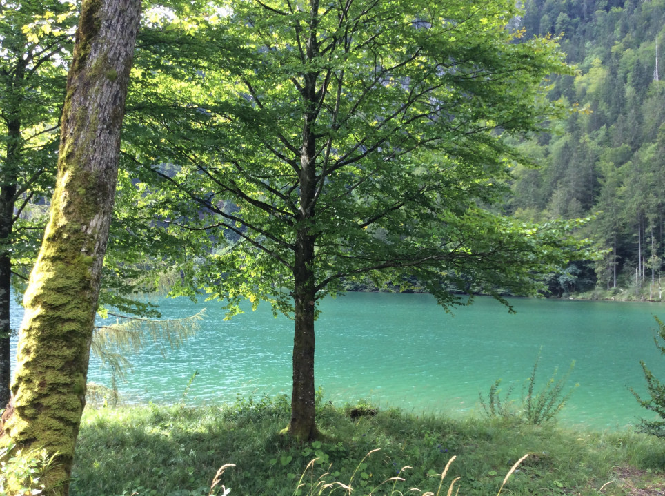 Schönau am Königsee < Nepomuk
