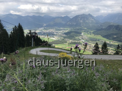Albengipfel