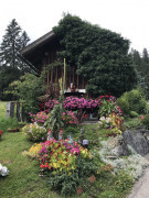 Albengipfel