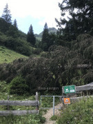 Albengipfel