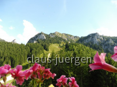 Branderschrofen