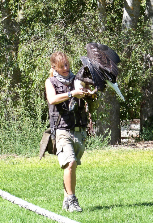 Flugschau 01
