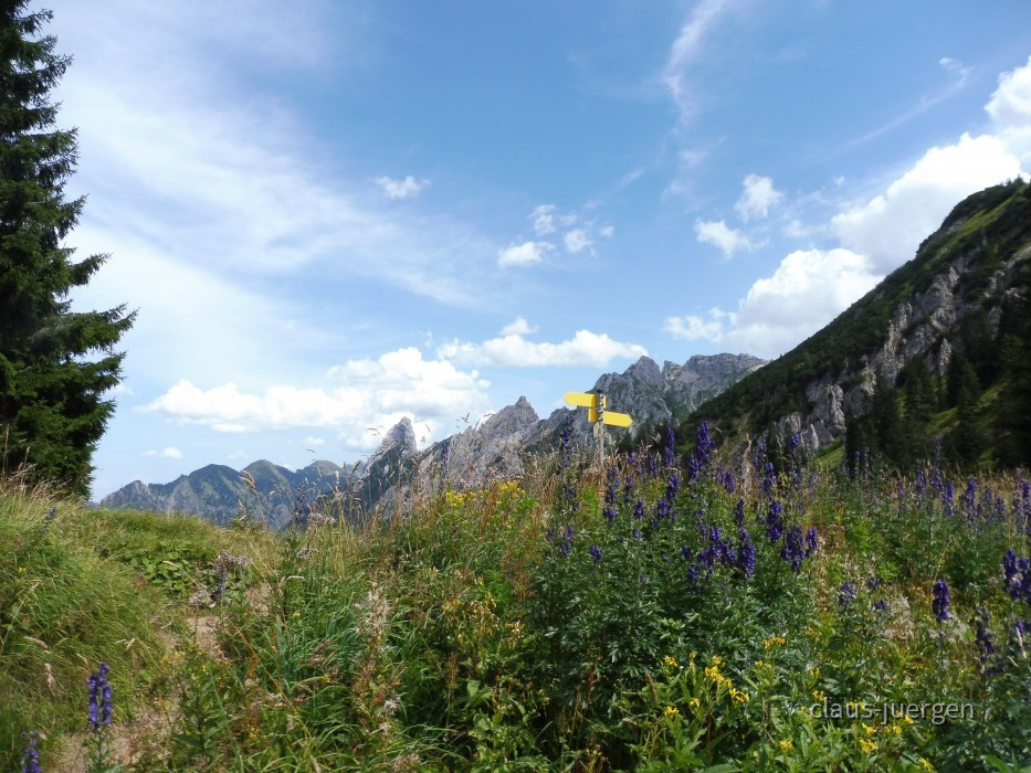 Branderschrofen