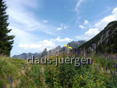 Branderschrofen
