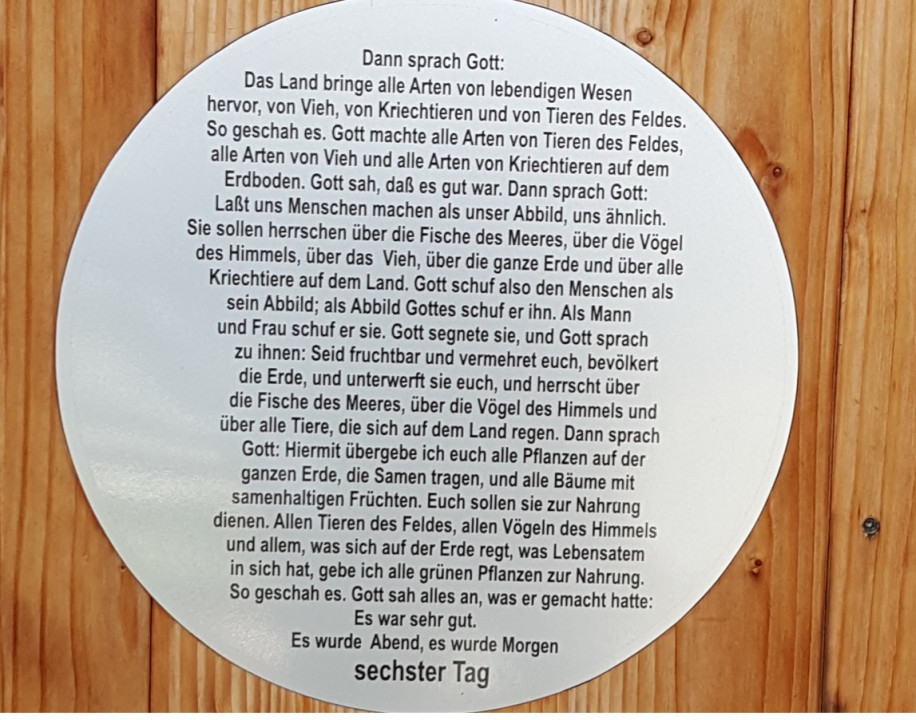 Tag 6
