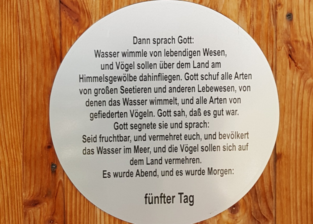 Tag 5