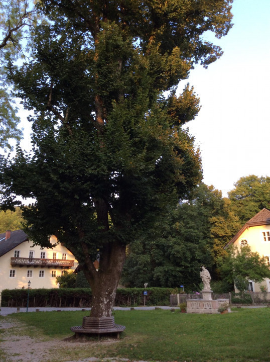 St. Jakob am Thurn