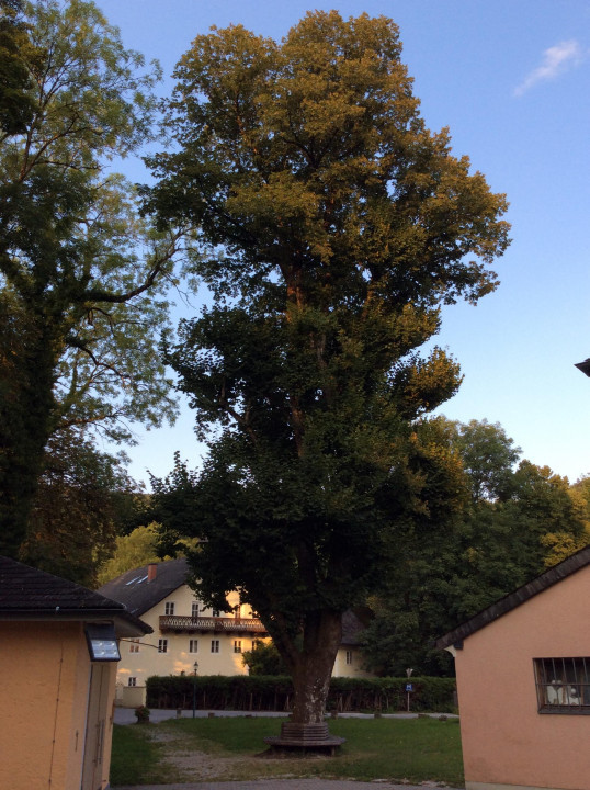 St. Jakob am Thurn