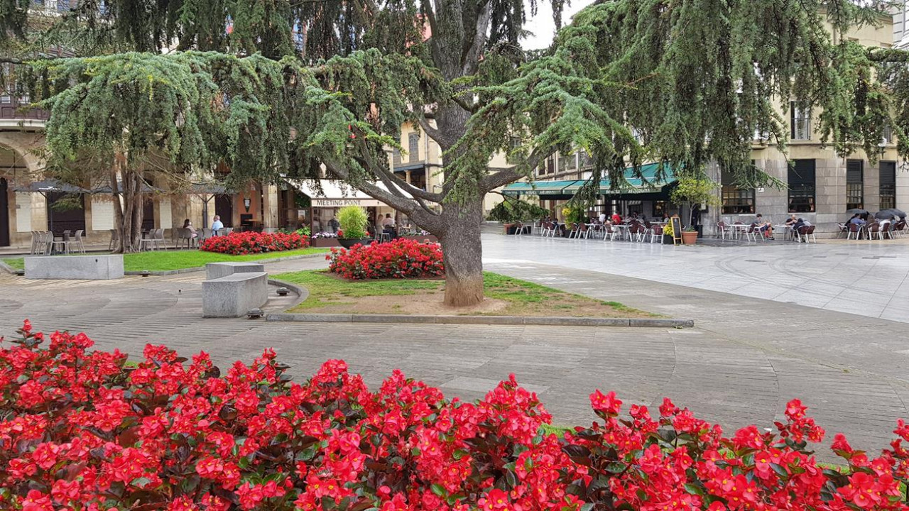 Avilés  11