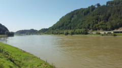Grein Donau bei Grein
