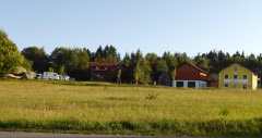 Einfalt