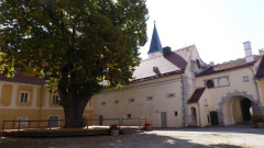 Oberndorf bei Raabs (7)