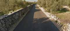 Stani VL
