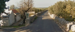 Stani VL