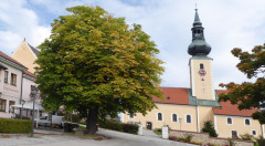 Großschönau r
