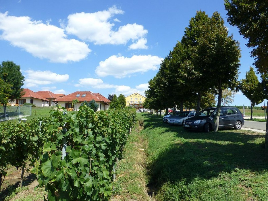 Thermalsee Demjén, Blick vom Badeingang zum Weinhaus
