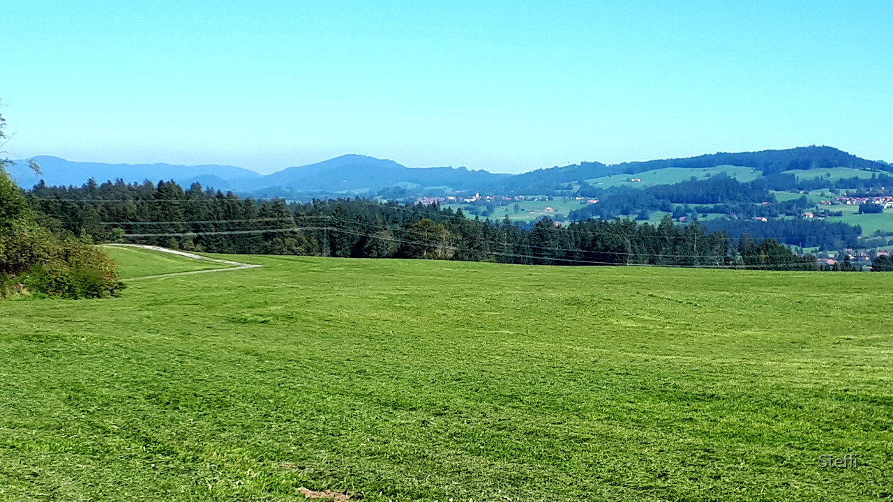 Landschaft Böserscheidegg