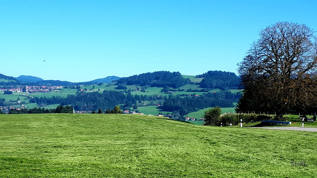 Landschaft Böserscheidegg
