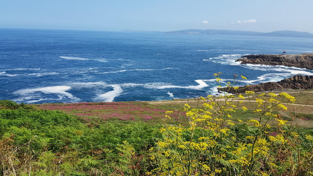 La Coruña  17