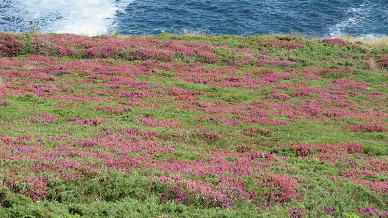 La Coruña  25