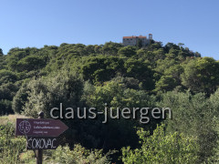 Cokovac Kloster