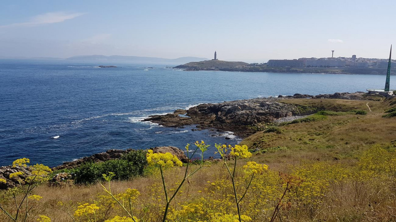 La Coruña  70