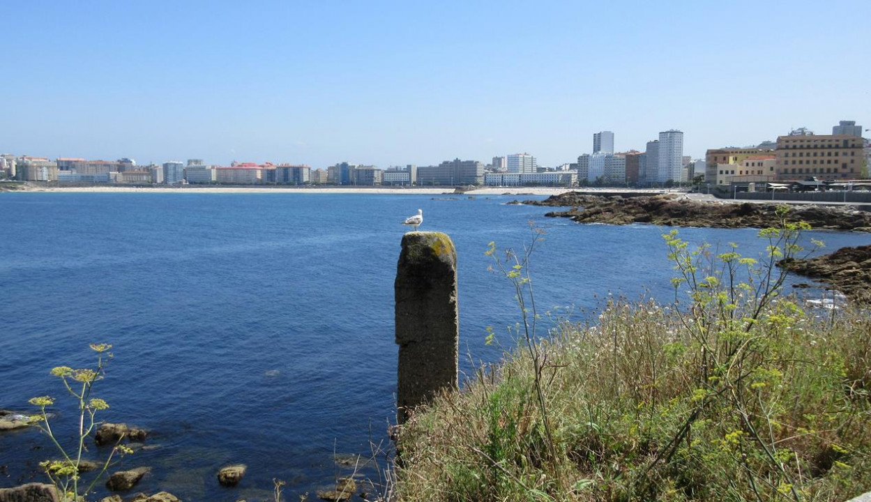 La Coruña  97