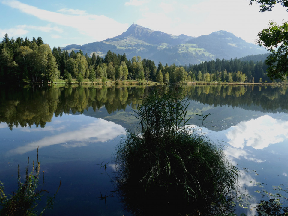 Schwarzsee und Hochfilzen