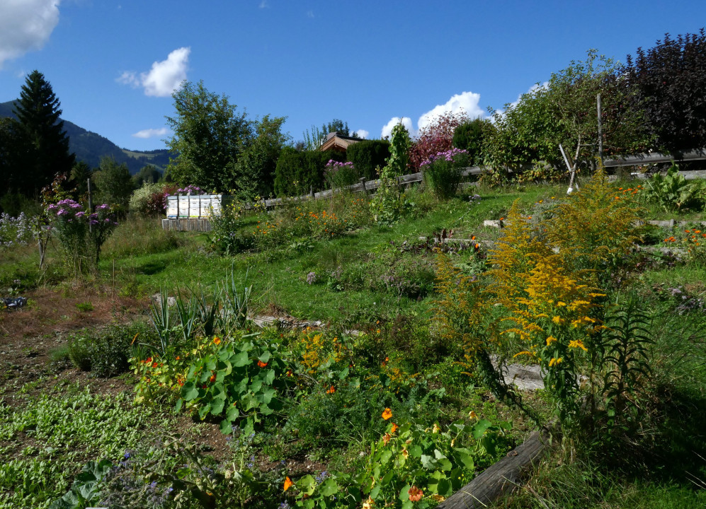 Schwarzsee und Hochfilzen