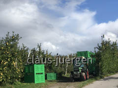 90ED3386-3C56-4D70-946D-4A5258E0A21A