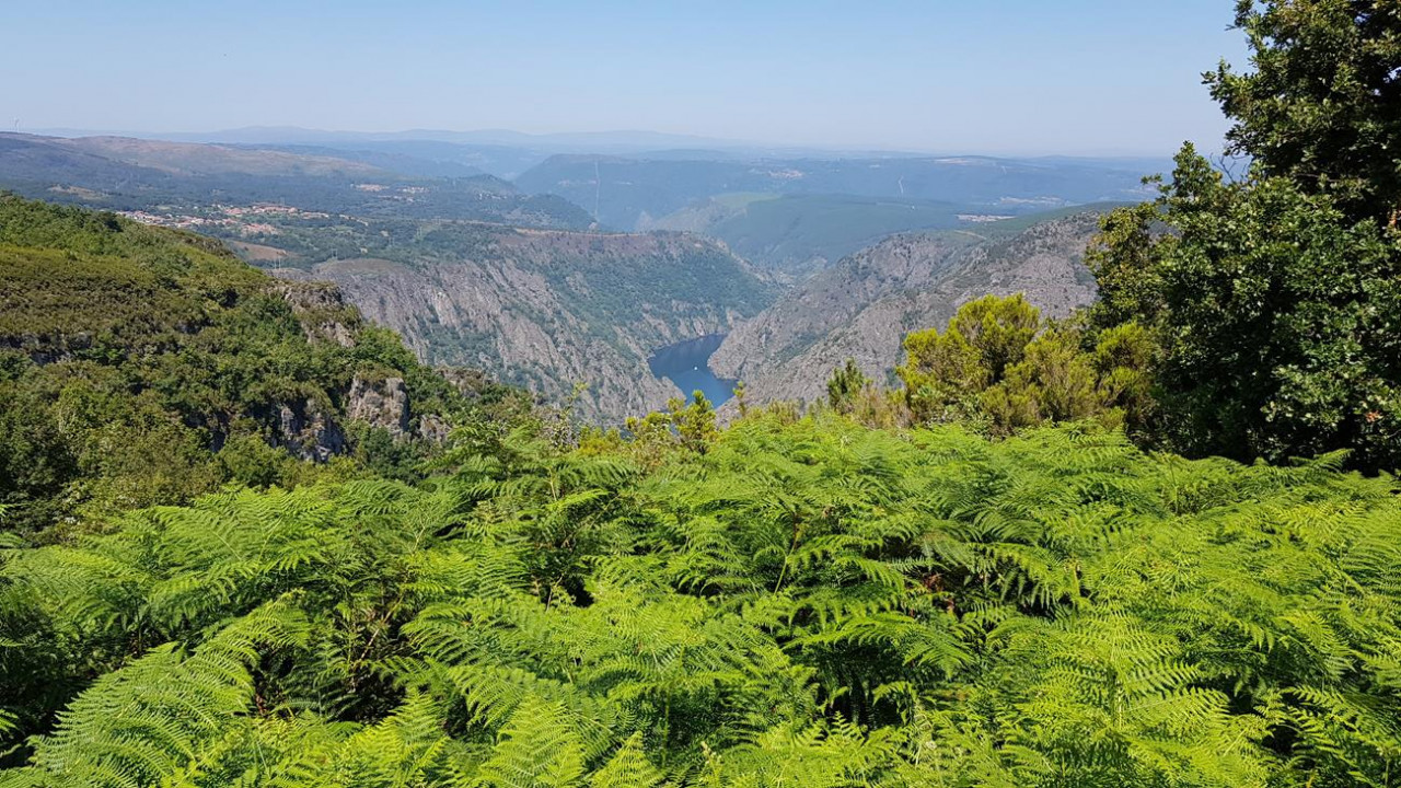 Sil Canyon  26