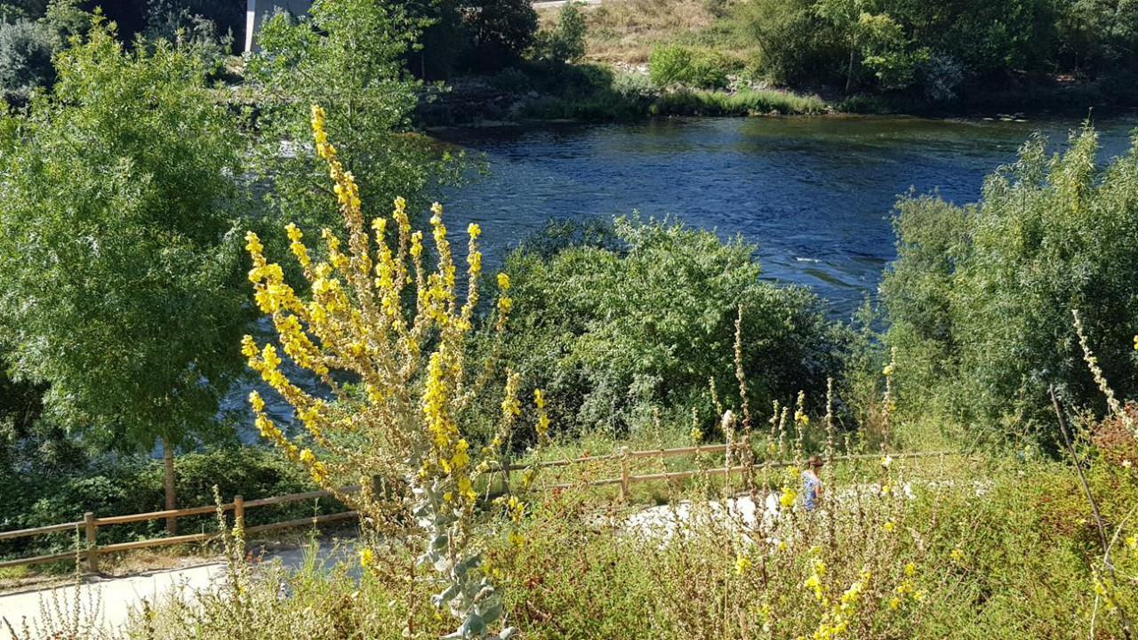 Ourense  13