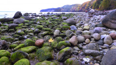 Herbst Binz 4 2021