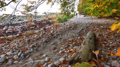 Herbst Binz 3