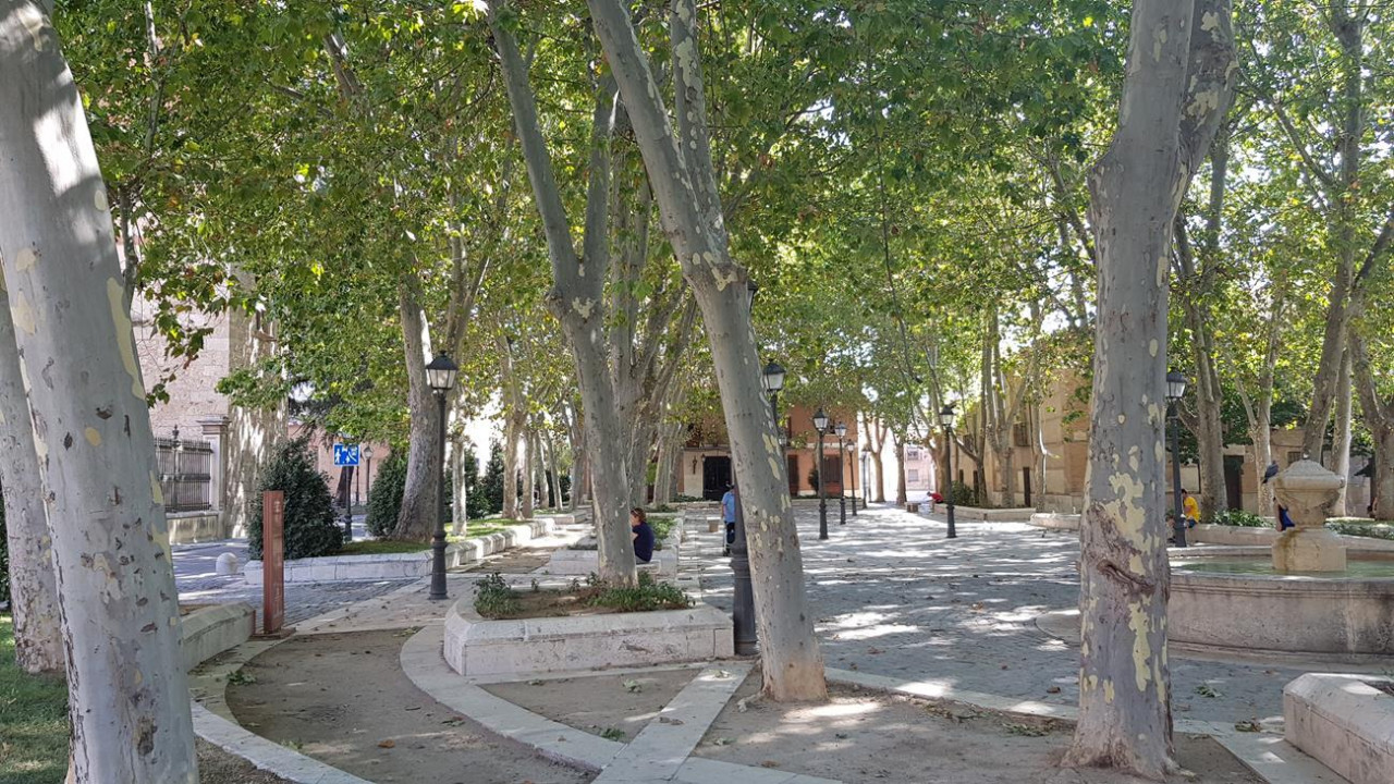 Alcalá de Henares_02