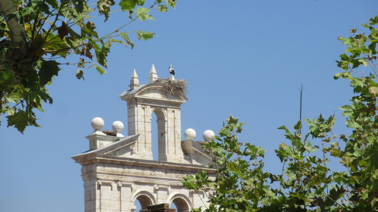 Alcalá de Henares_24