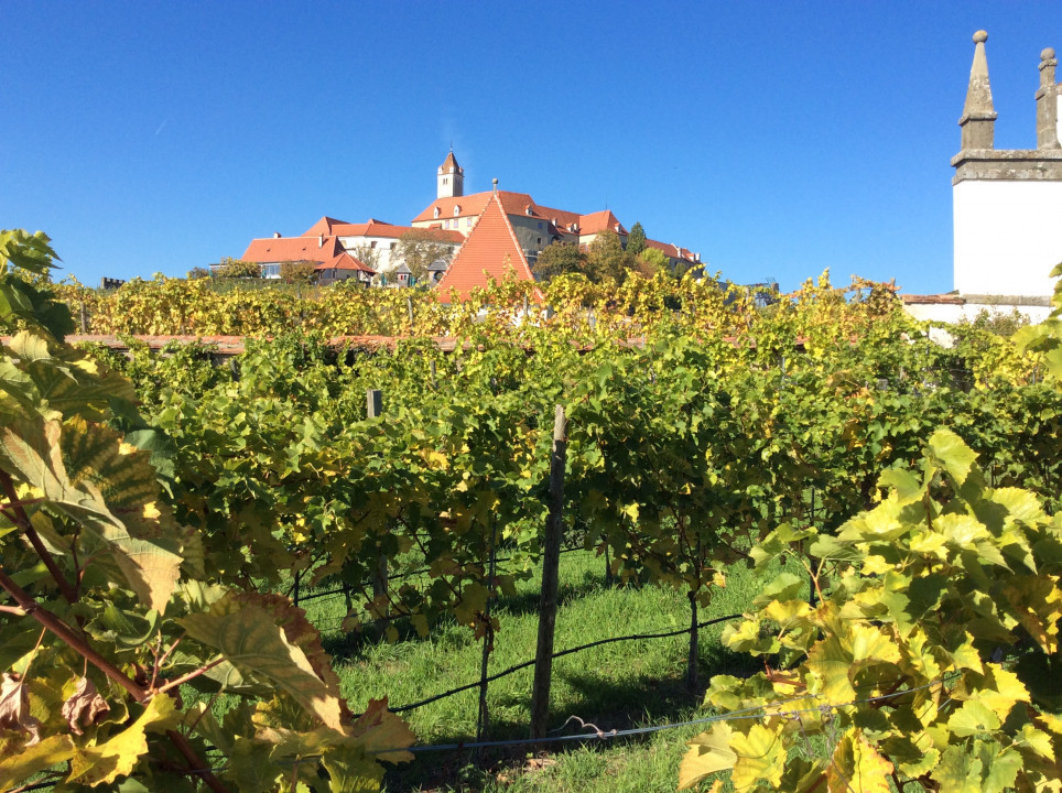 Riegersburg < Nepomuk