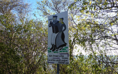 Thiessow und Lotsenturm (11)