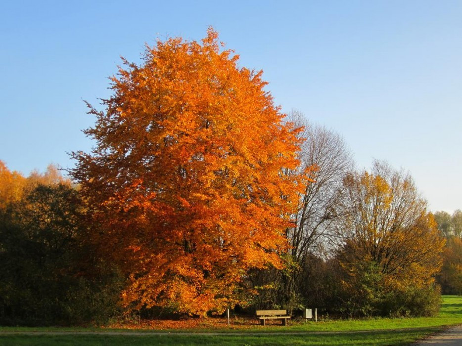 Herbst_03